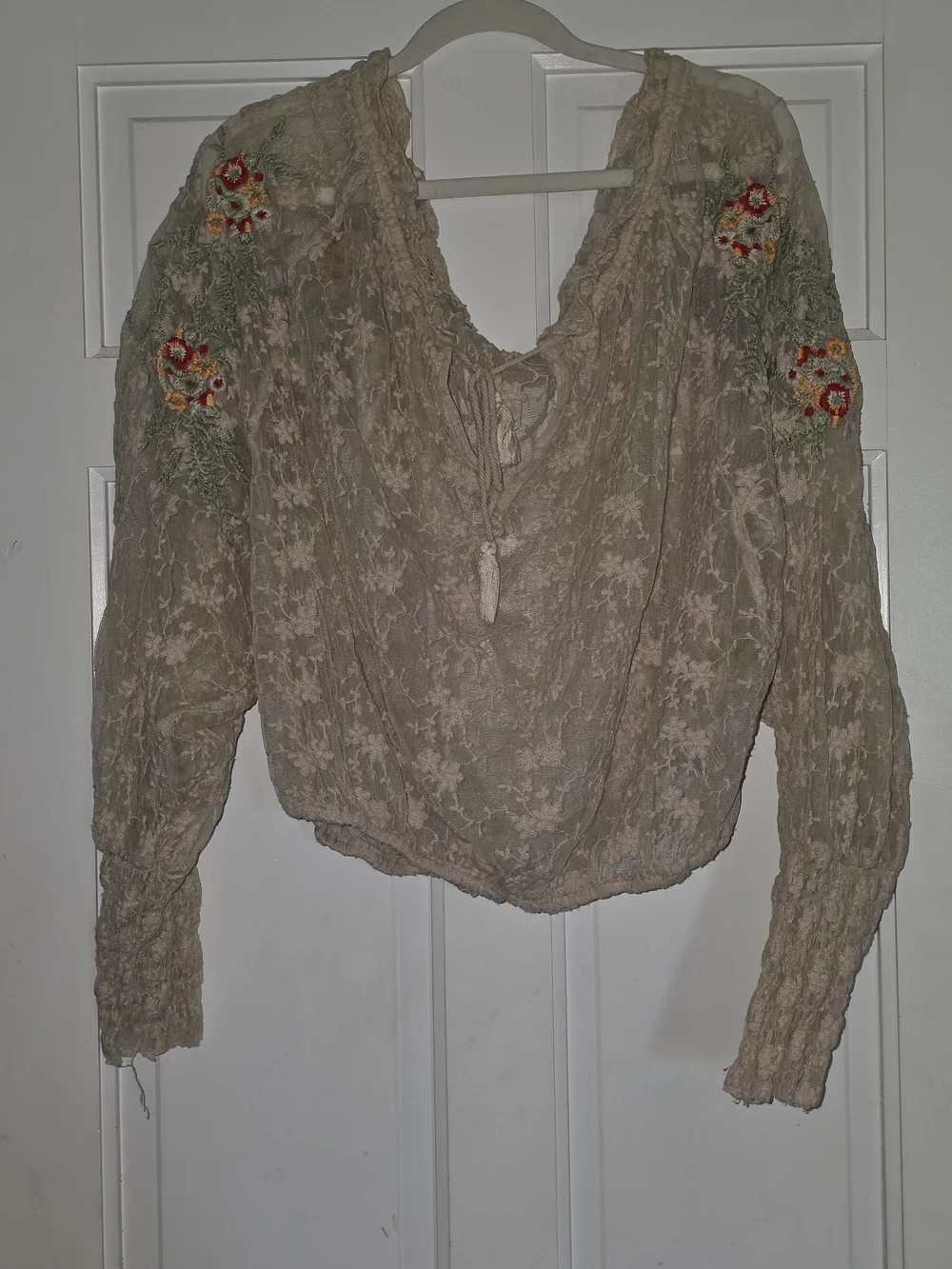 Free People Blush Lace Embroidered Peasant Top